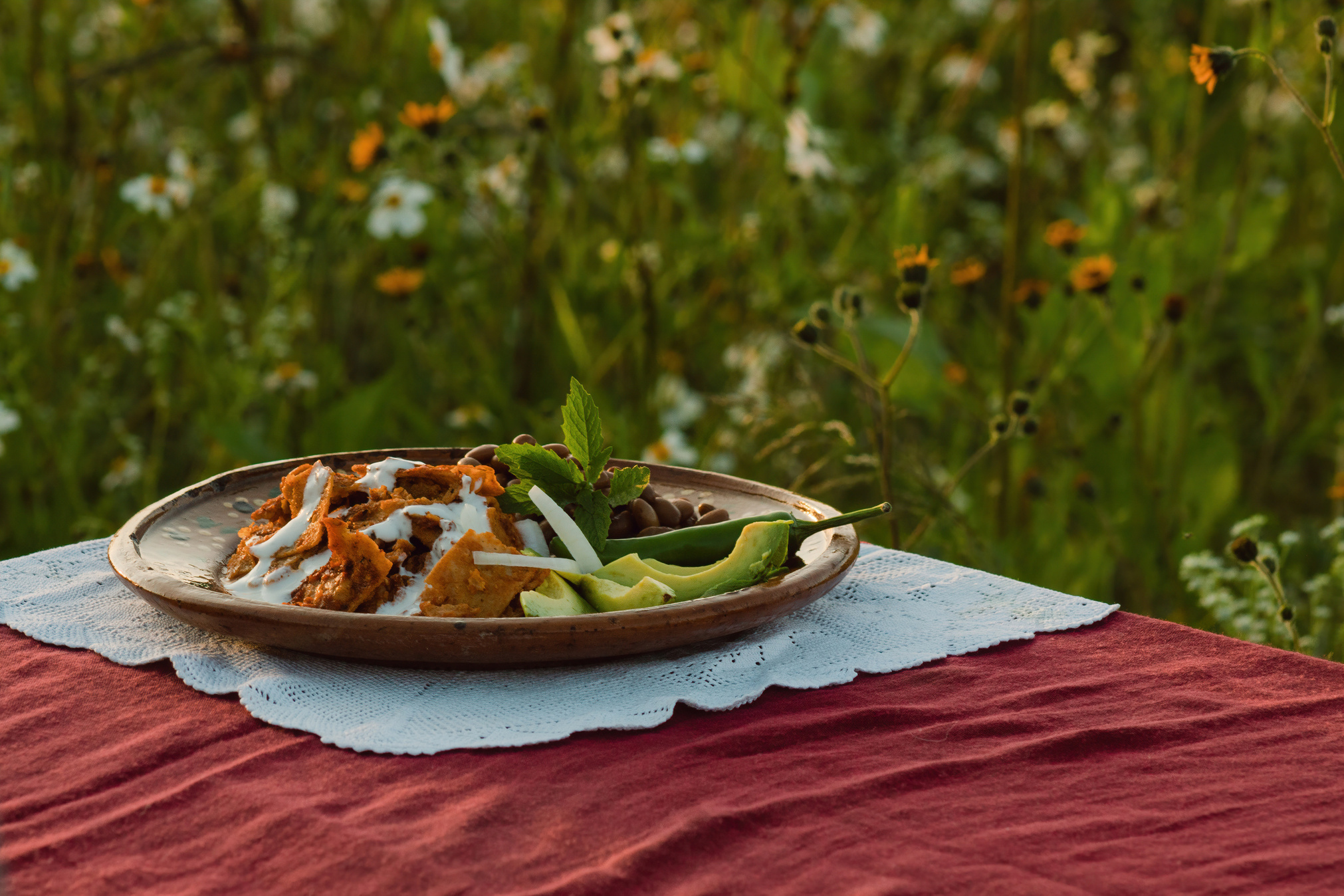 Chilaquiles on Table with Nature Background